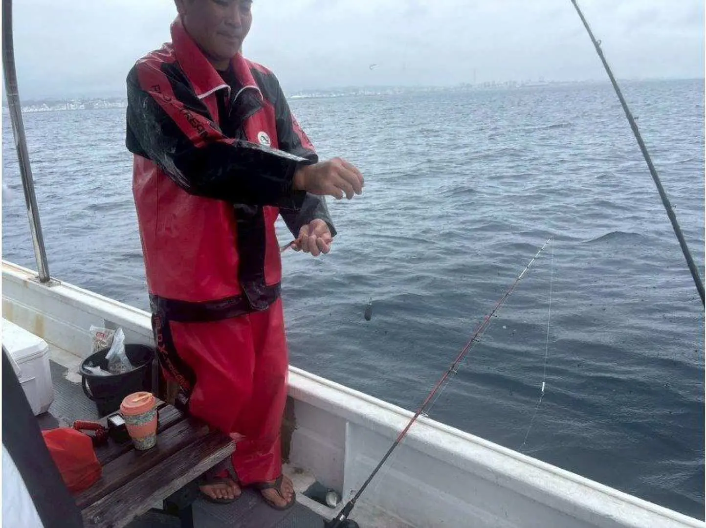 If you can't touch the fish, the captain will catch them for you! He's a very kind captain!