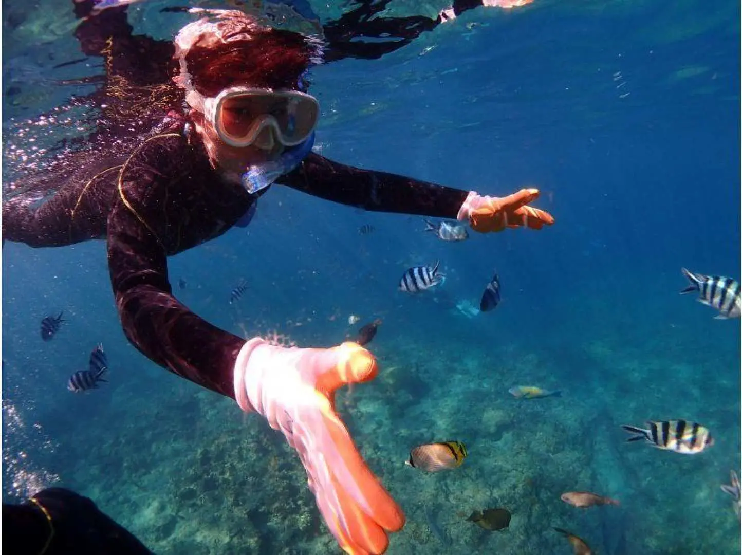 お魚捕まえられるかな？？。寄ってくる魚たちは捕まえてOK！？
是非「獲ったどーーーーー！」してみてくださいww