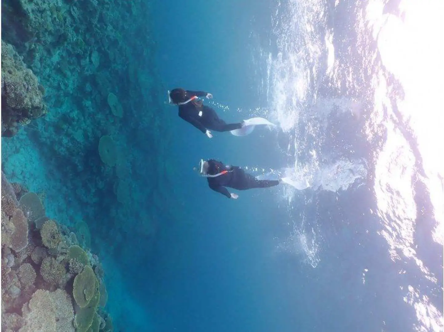 Enjoy the beautiful coral reefs of Sesoko Island while skin diving (freediving). The skin diving point is about a 5-10 minute banana boat ride away. Upon arrival, you'll put on your snorkeling gear and enter the water from the banana boat. An instructor will guide you through the coral reef underwater. Underwater time: approximately 60 minutes.
Beginners will receive a skin diving lesson.