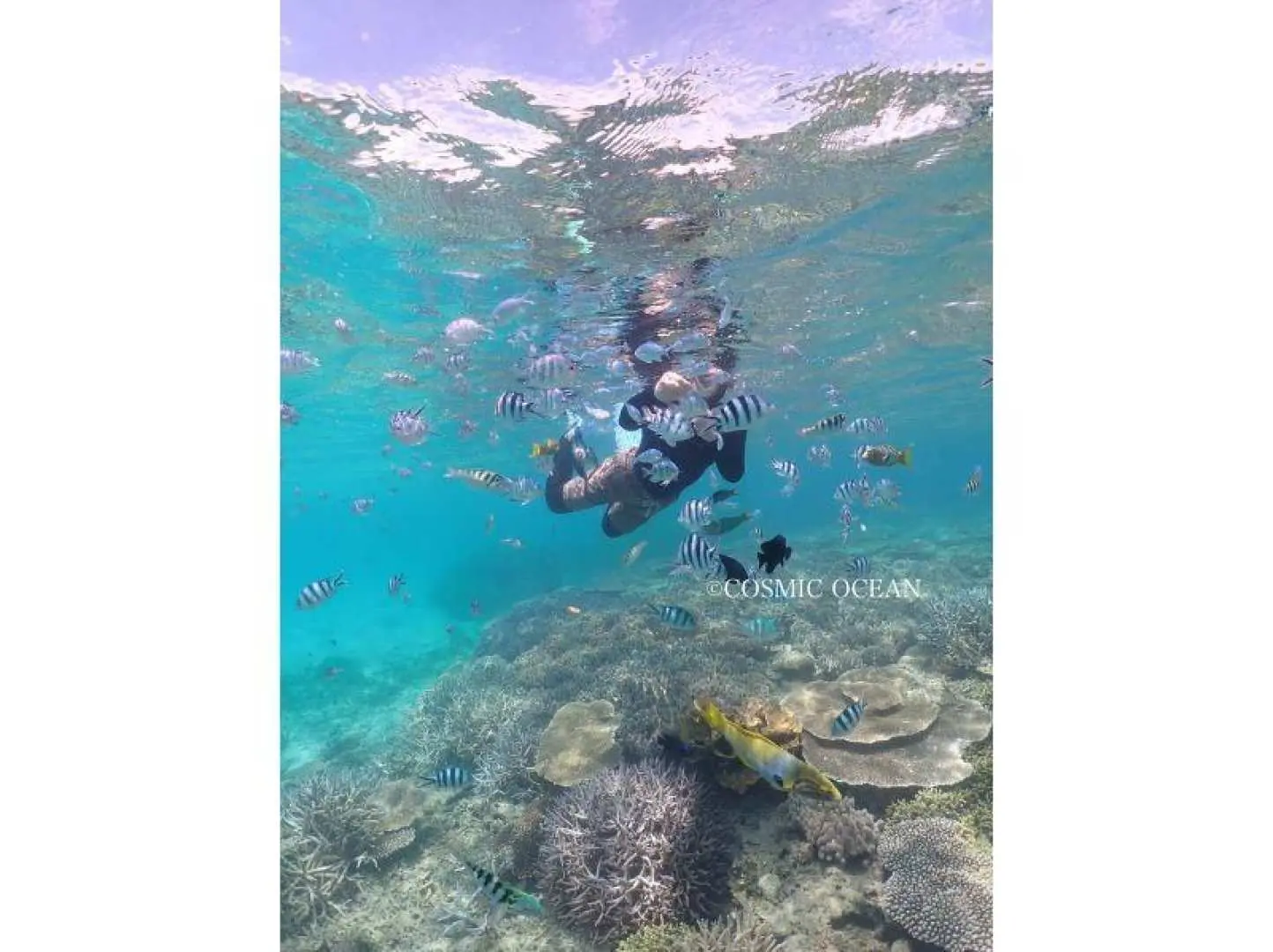 Enjoy skin diving (freediving) while exploring the beautiful coral reefs of Sesoko Island. The snorkeling point is about a 5-10 minute banana boat ride away. Upon arrival, you'll put on your snorkeling gear and enter the water from the banana boat. An instructor will guide you through the coral reef underwater. Underwater time: approximately 30 minutes.