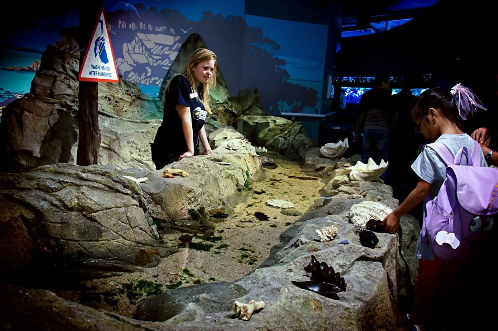 シーライフ・シドニー水族館のタッチプールインタラクティブエリアで、子供と大人がかがんで岩場の水槽の海洋生物を探索し、触れて学ぶ教育的な機会を提供します。