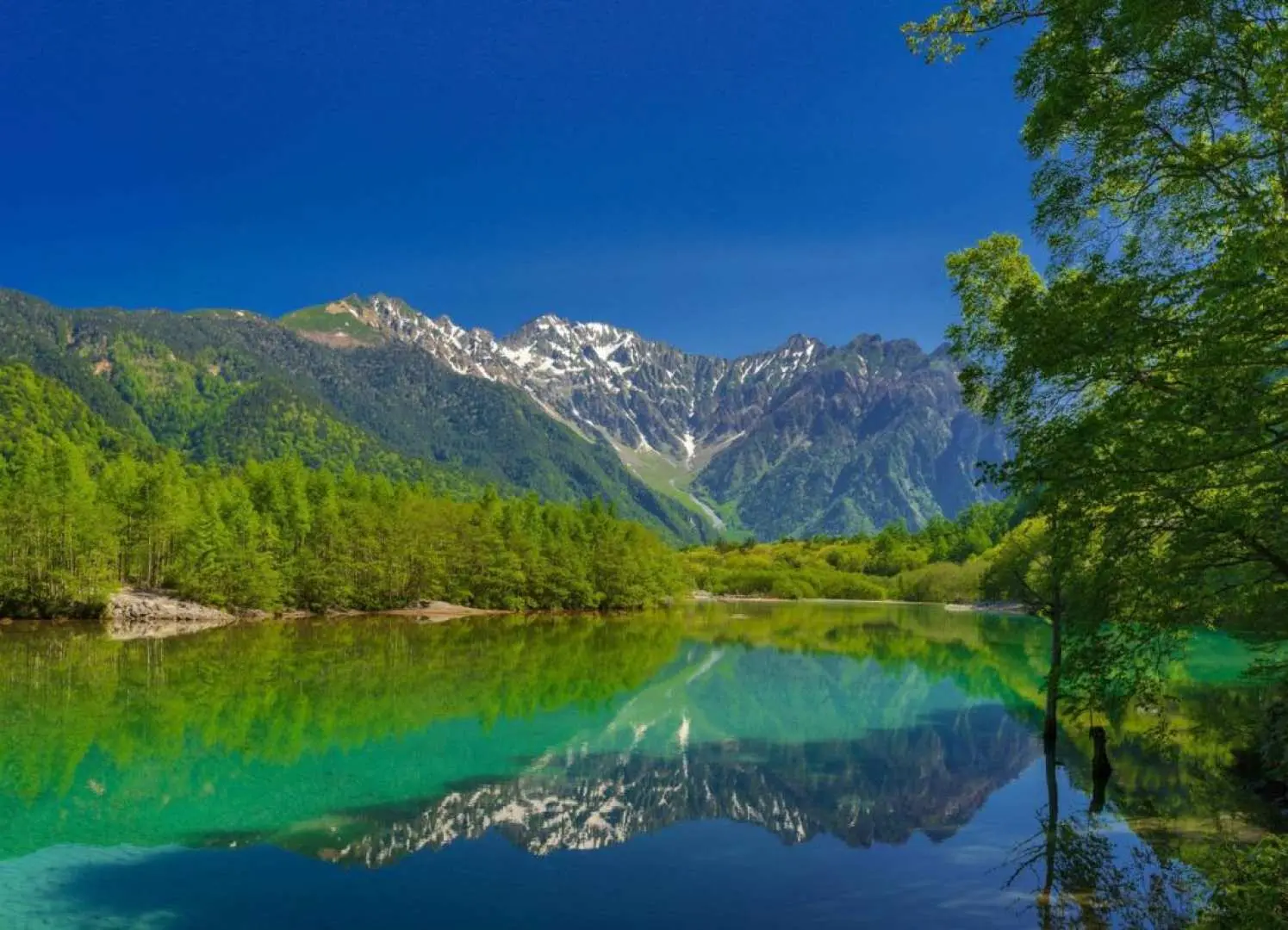 Fresh and natural in summer, the best place to escape the heat.