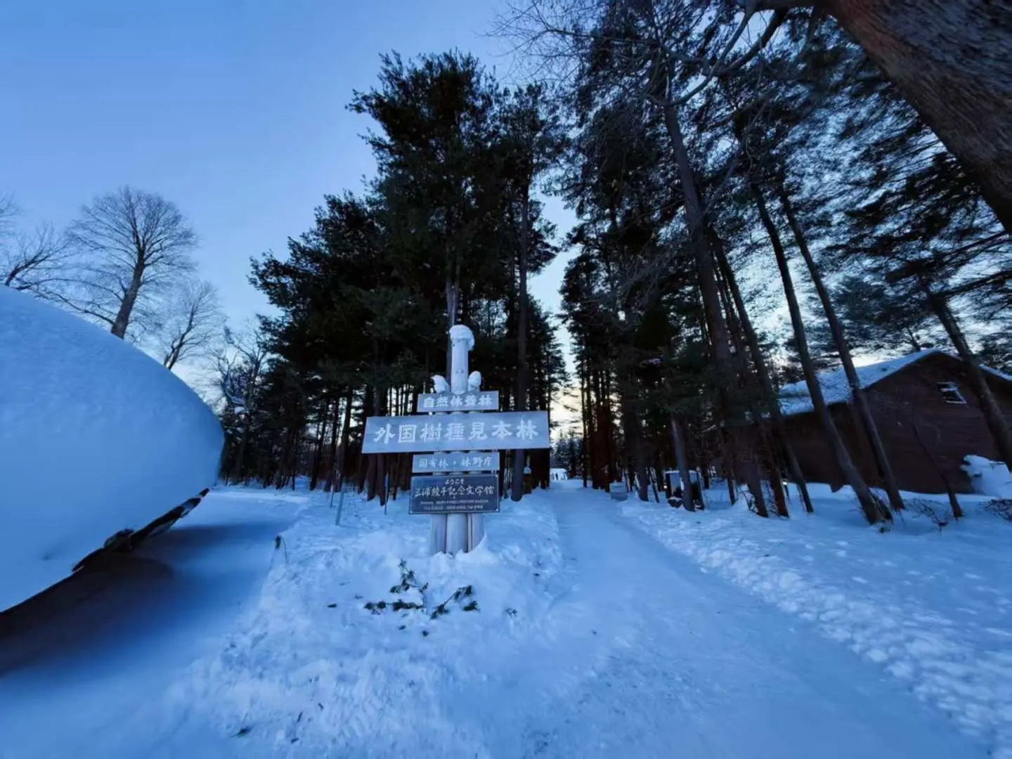 14:50-16:50

Free time to explore the foreign tree species forest (2 hours)

Stroll along the forest trails, listen to the sound of the Biei River, and perhaps encounter Ezo squirrels. Optional visit to the Ayako Miura Memorial Museum to experience the fusion of literature and nature.