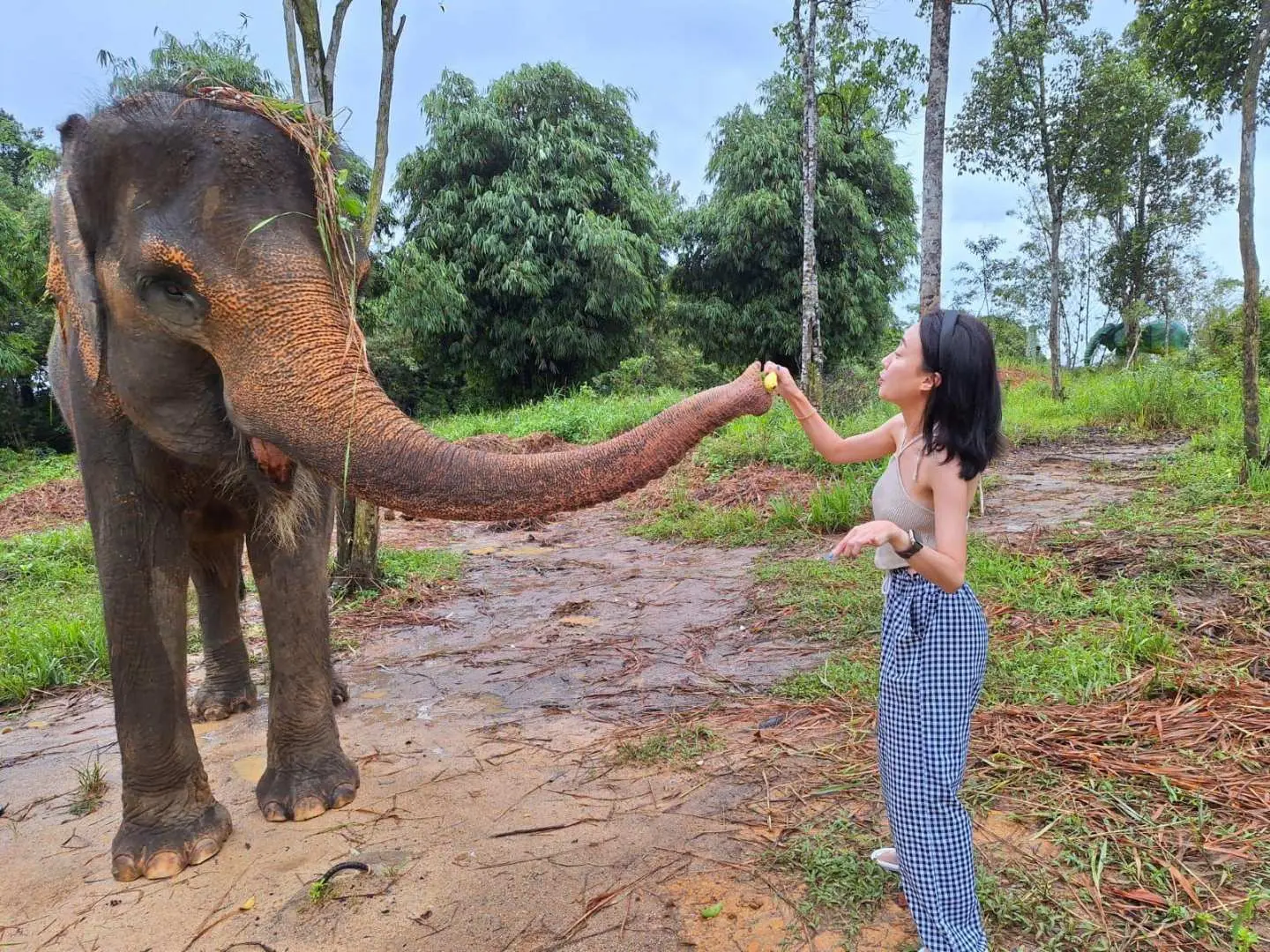 ทัวร์ซาฟารี