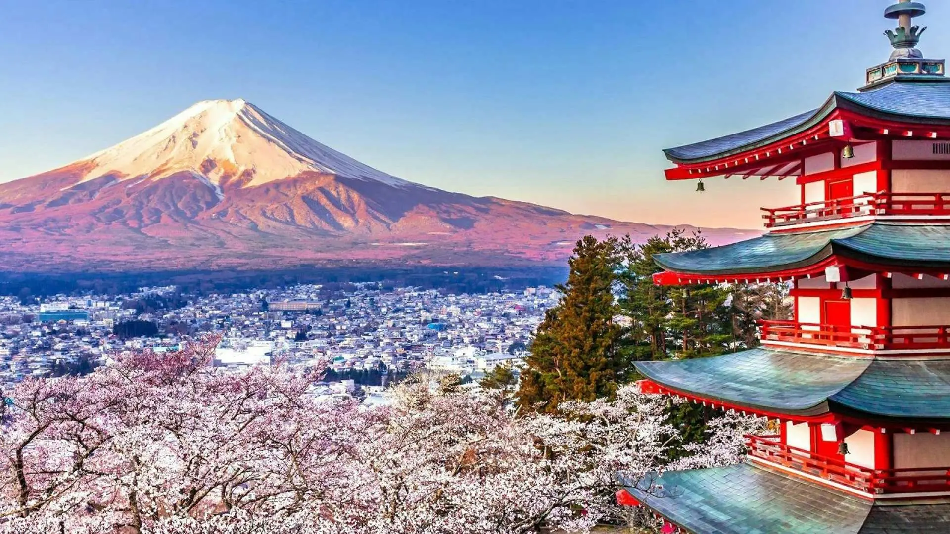 新仓山公园，感受富士山之美，镜像自然风光。跟随季节的脚步，上春日樱花，观夏日新绿，览秋日红叶，望冬日雪景，感受四季轮回。