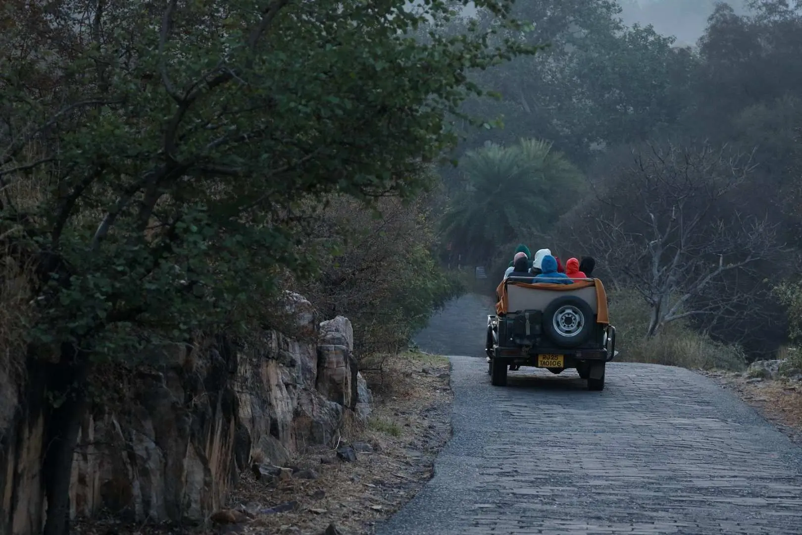 Return Journey to Ranthambore
After completing the safari, begin your return drive to Ranthambore. Sit back and relax as you head back to your hotel, concluding your half-day wildlife excursion.