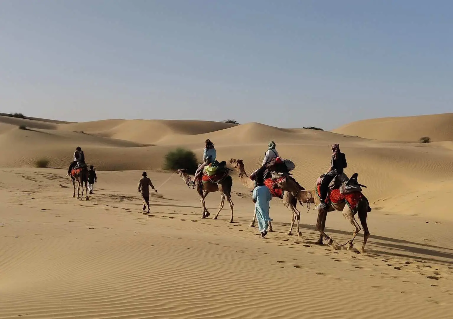 Arrive at Camel Point & Where you meet camel & driver. Start your off beaten Camel Ride for next 45 Minutes or more