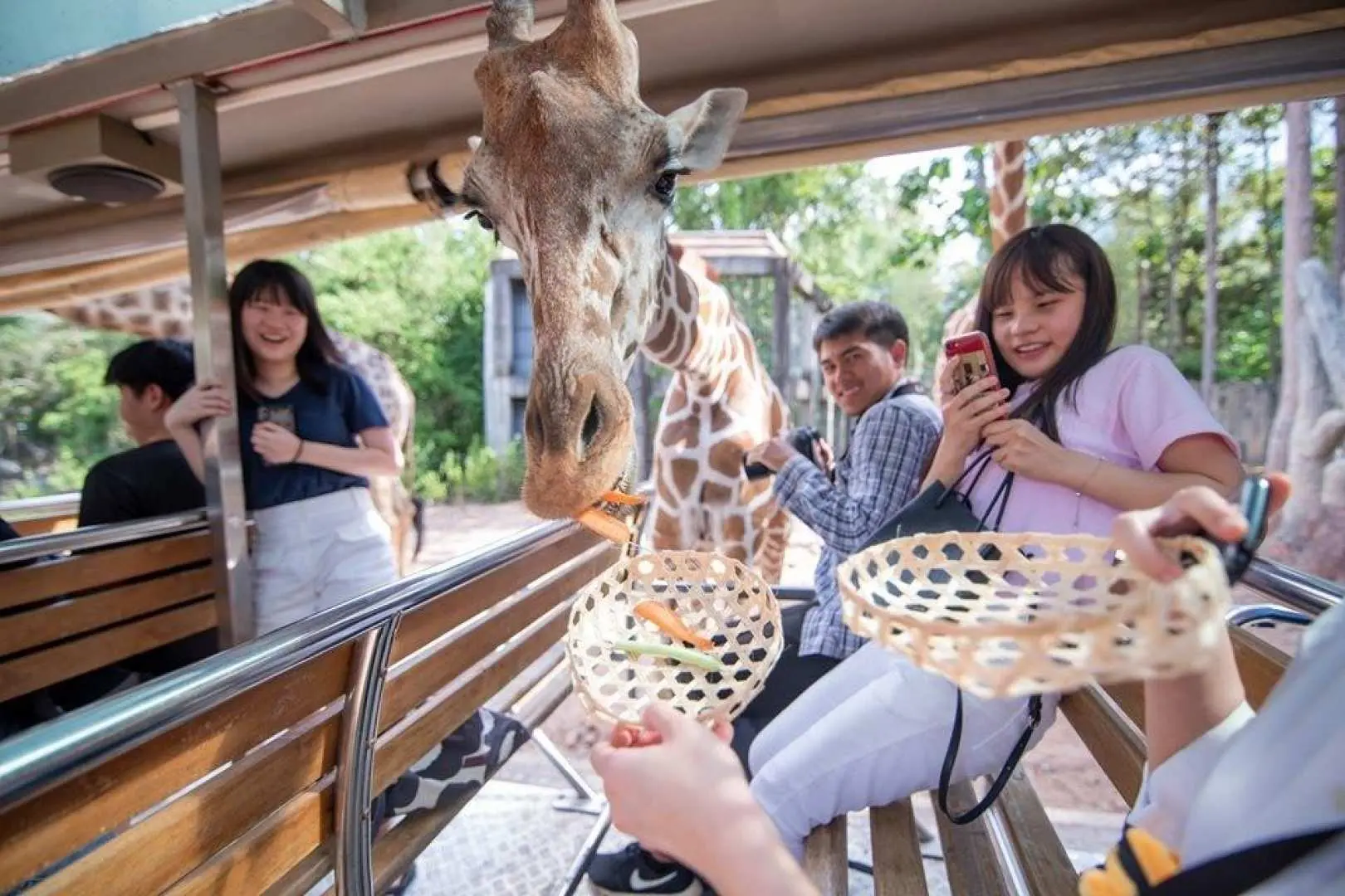 夜間野生動物園體驗 探索野生動物並觀賞夜間野生動物園表演