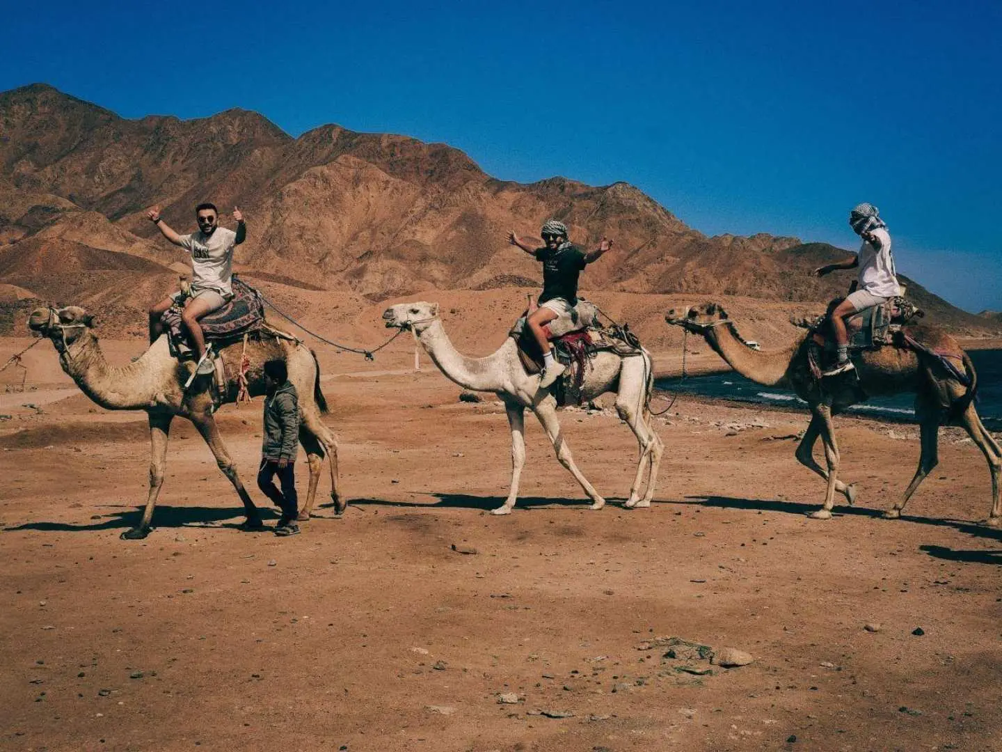Start with the pickup or meeting arrangement confirmed after booking. Transfer time may vary depending on your hotel location, and pickup details will be confirmed one day before your activity.

Arrive at the camel-riding area and meet the local team. Confirm your selected option, either the standard one-hour camel ride or the VIP private one-hour camel ride.

Before the ride begins, listen to the basic safety and riding instructions. The guide will explain how to sit comfortably, how the route will move, and what to do during the experience.

Begin the guided camel ride through the desert surroundings. Follow the local guide at a relaxed pace and enjoy the open Sinai landscape, sandy views, and calm desert atmosphere.

If timing and route conditions allow, a short photo moment may be arranged. Exact stops may vary according to weather, safety, visibility, and animal comfort.

After completing the one-hour camel ride, return to the starting area. Guests then continue according to the confirmed transfer or meeting arrangement.