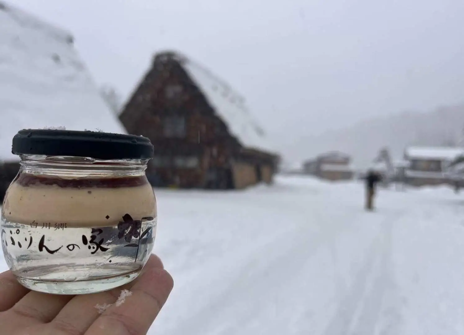 Shirakawa-go in winter