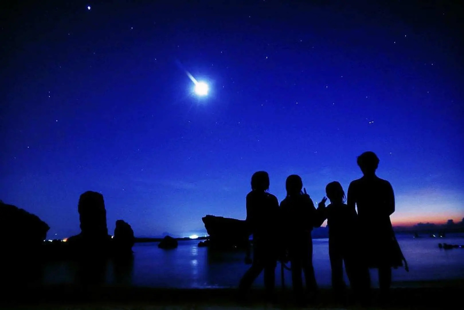 4. Bioluminescent Plankton & Starry Sky Night Snorkeling Tour
Experience a mystical world through night snorkeling. Under the moonlight, drift quietly through the sea and observe creatures you wouldn't encounter during the day. Bioluminescent plankton shine like stars, and nocturnal creatures quietly reveal themselves. Create unforgettable memories with this experience.