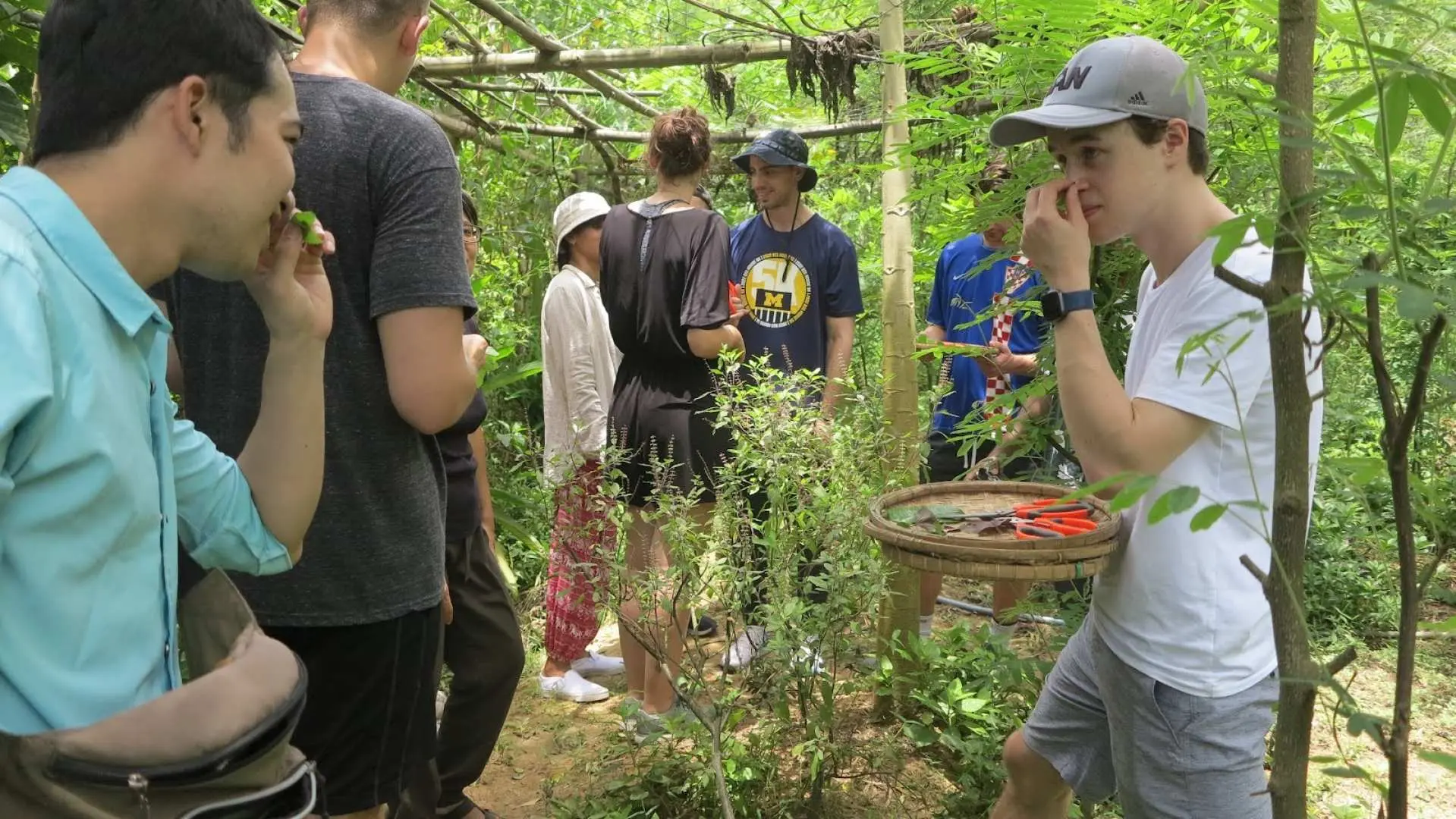 Arrive at Madame Vân_Food & Drinks and be welcomed with a special herb Lemon Tea with Butterfly Pea Flower, freshly picked from the garden.