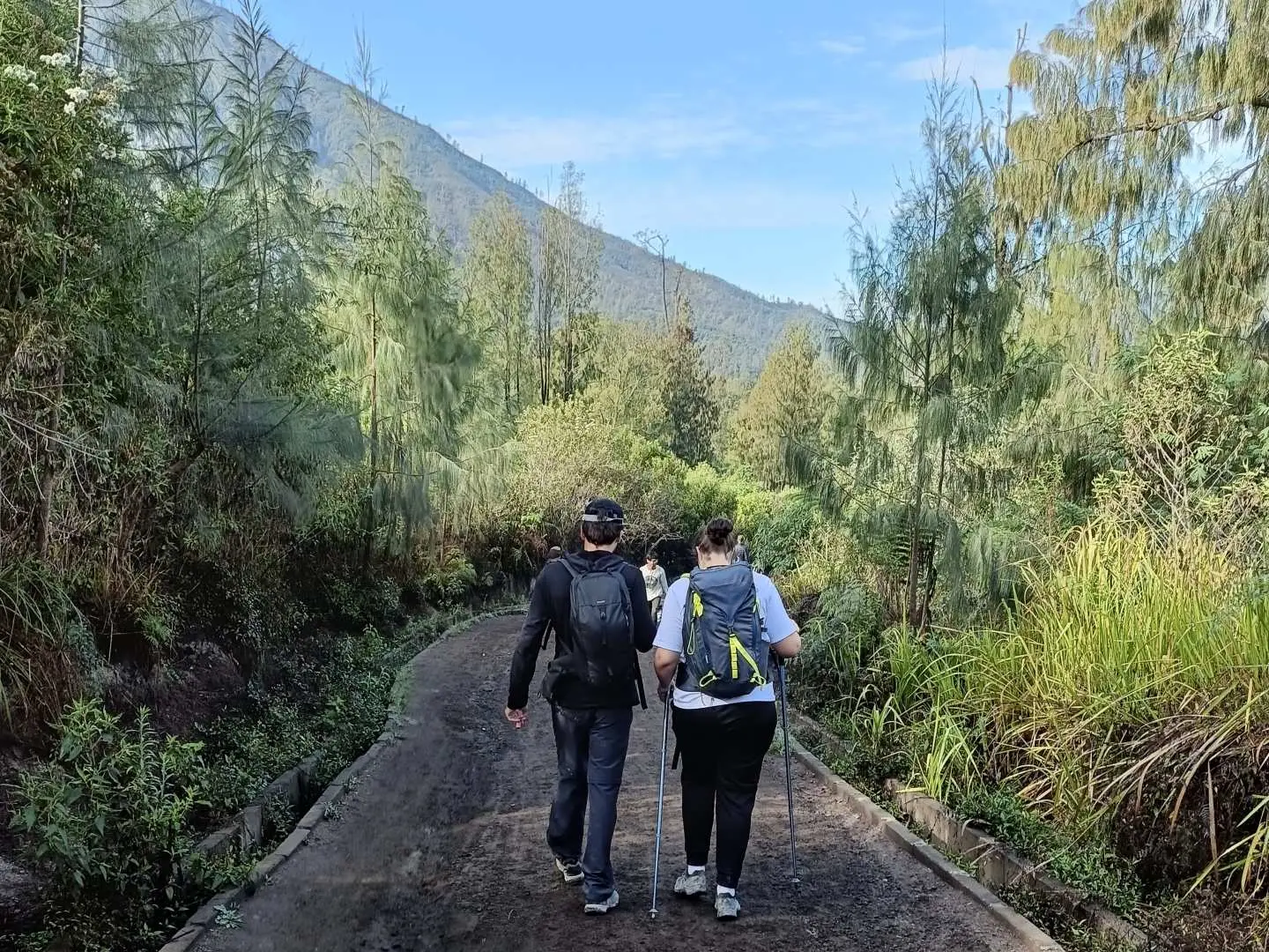 Two travelers with backpacks and walking sticks hike on a volcanic trail in East Java, surrounded by lush green vegetation.