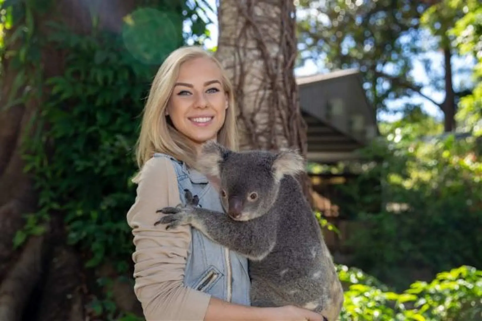【カランビン動物園のコアラハグ】は、期間限定でコアラと触れ合い、貴重な記念写真を撮影できる人気のオーストラリア動物園です。コアラ、カンガルー、ワニ、レッサーパンダといったオーストラリア固有の動物たちが暮らし、熱帯雨林を散策しながら生命の息吹を体感できます。動物の健康管理や教育プログラムにも力を入れており、体験と保護が融合した自然の楽園となっています。
