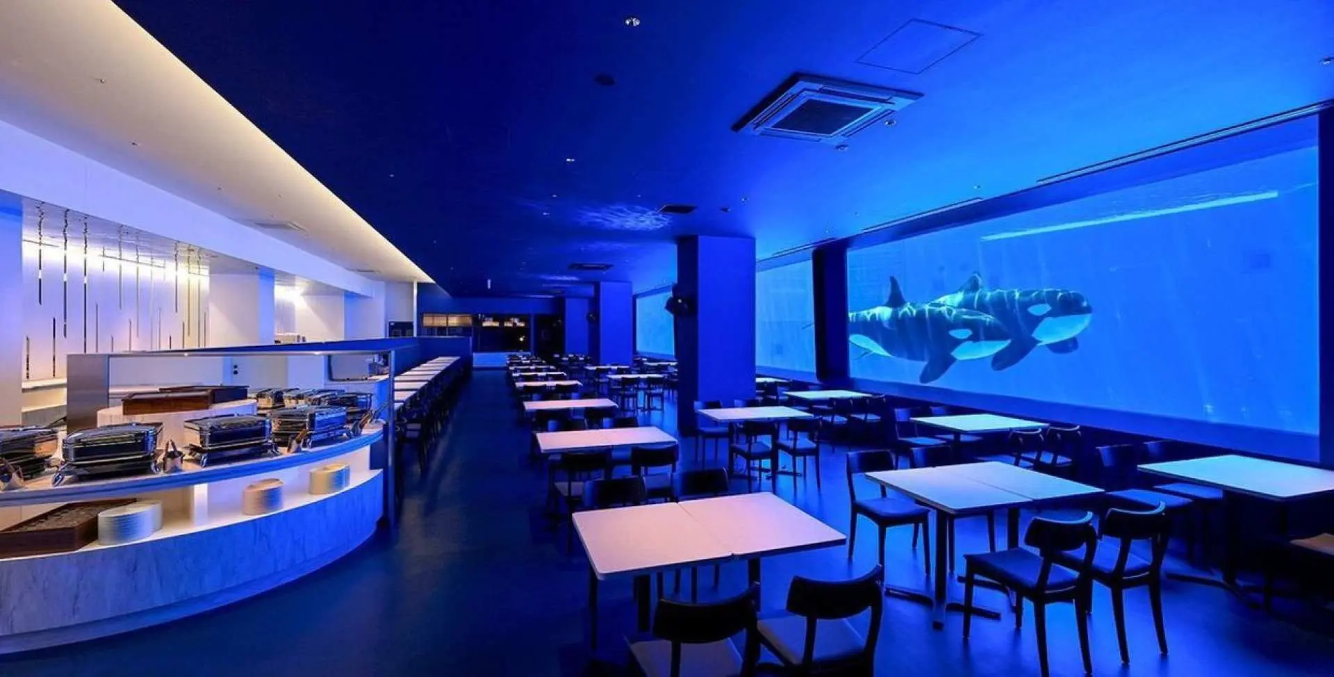 【推薦午餐~BLUE OCEAN 虎鯨Stadium】（可協助預約，客人現場付費；圖片僅供參考） 餐廳以自助餐形式供餐，最大特色是透過大片玻璃窗，一邊用餐一邊近距離欣賞虎鯨悠游與進食的震撼畫面。多樣化料理滿足不同口味，結合海洋生態景觀，帶來視覺與味覺兼具的難忘用餐體驗。