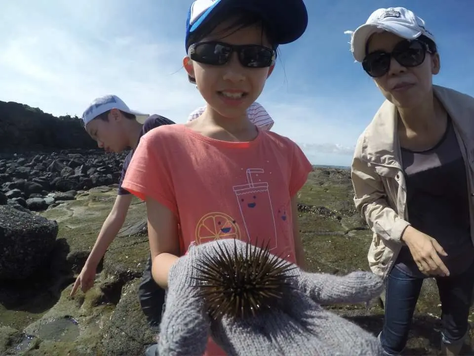 親身體驗潮間帶多樣化的生態環境