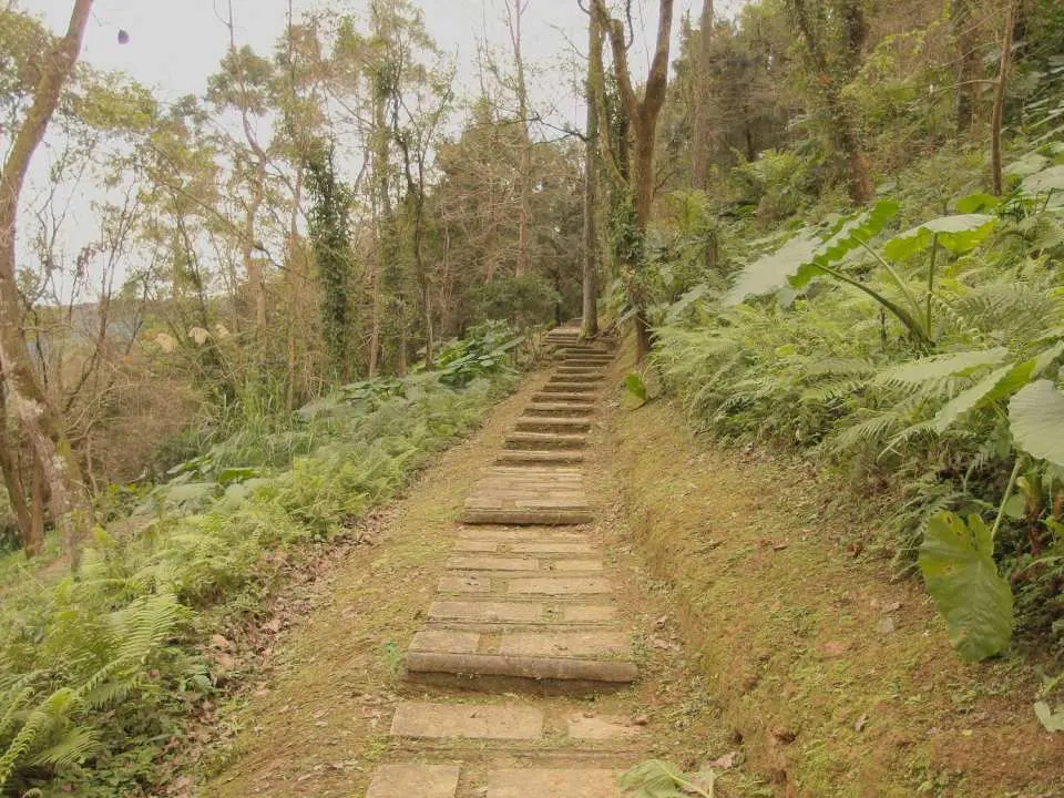 池南國家森林遊樂區內蜿蜒的健行步道，兩旁綠意盎然，是遠離都市塵囂、沉浸森林浴芬多精的絕佳選擇。