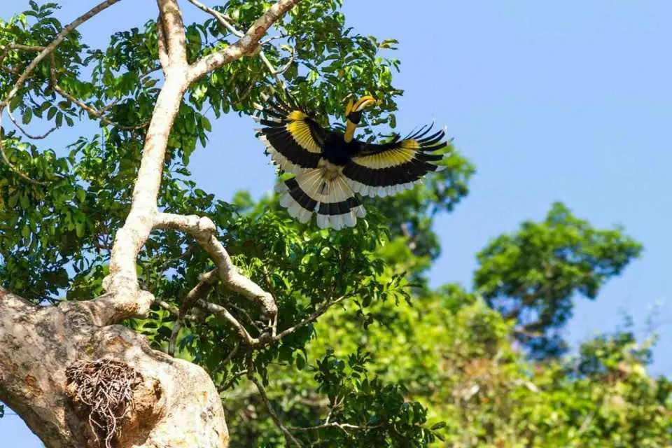 พบกับสัตว์ป่านานาชนิเ