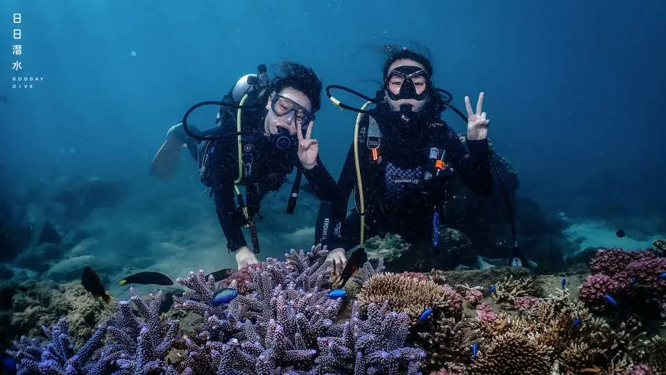 海底遊樂探索