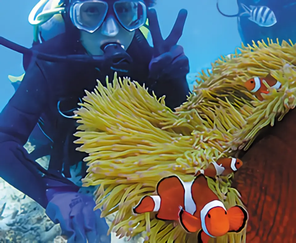 During an Okinawa Clownfish City boat dive, a diver poses with a vibrant family of clownfish nestled in an anemone, showcasing the rich coral reef ecosystem.