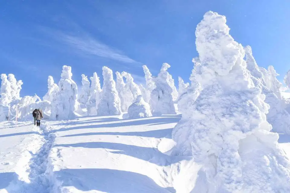 Mt. Moriyoshi is one of the best places to "Snow Monsters," gigantic monuments of snow and ice created in the harsh environment of the Tohoku region.