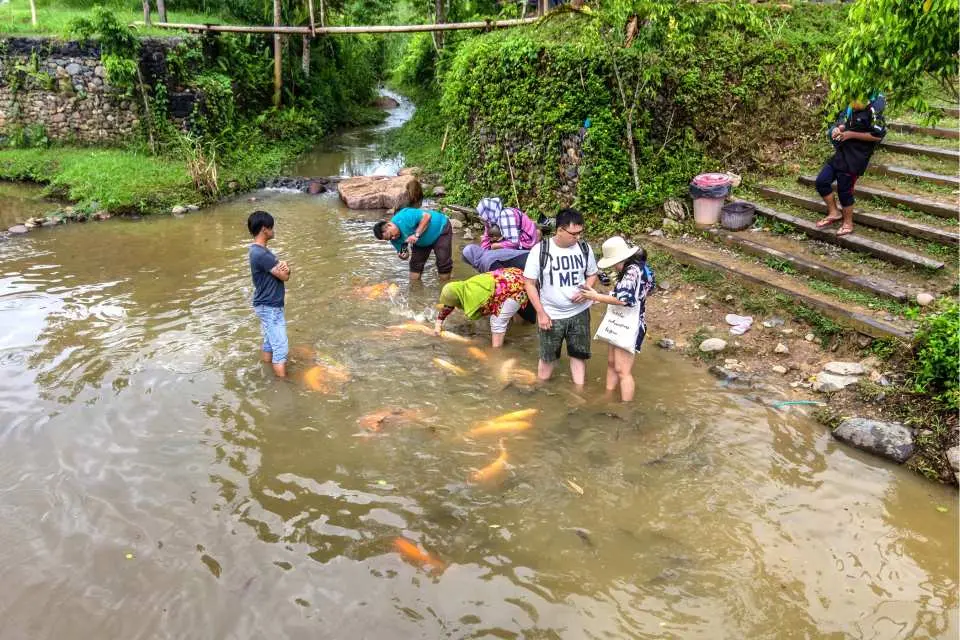 1130 – Visit to Marakau Fish Spa, soak your feet in water and experience being massaged by fish.