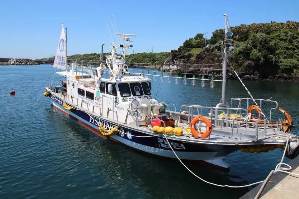 Experience the vibrant marine life Jeju has to offer by joining this boat fishing adventure