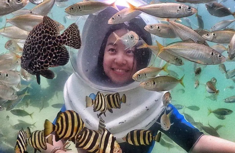제주 바다의 귀여운 물고기를 만나보세요.