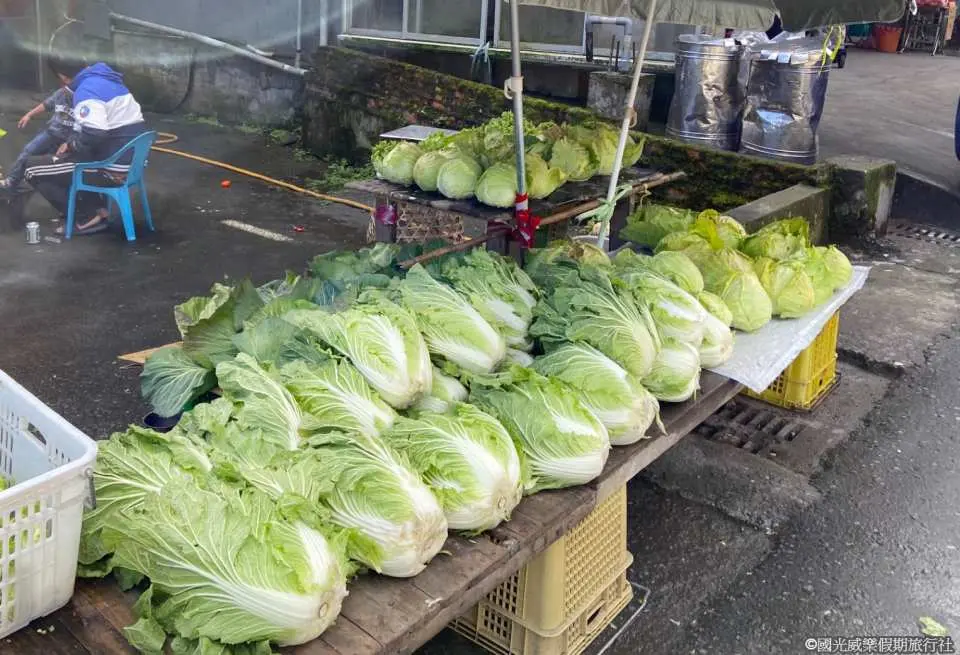 On the return journey, pass through Nanshan Village, where you can purchase fresh and delicious alpine vegetables or souvenirs (availability and items sold are subject to the on-site store that day)