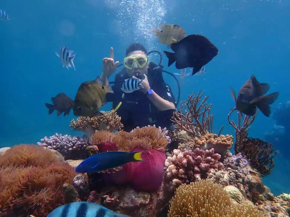 Travelers may opt to continue exploring the aquatic life (no charges will incur) or register for a second dive (additional charges)
