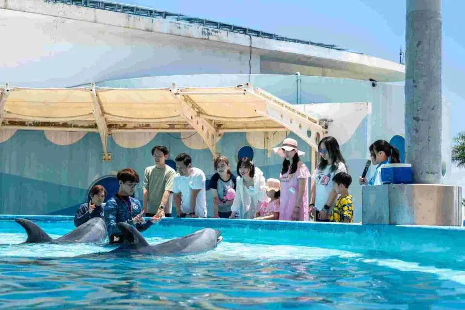 Ocean Star Meet and Greet