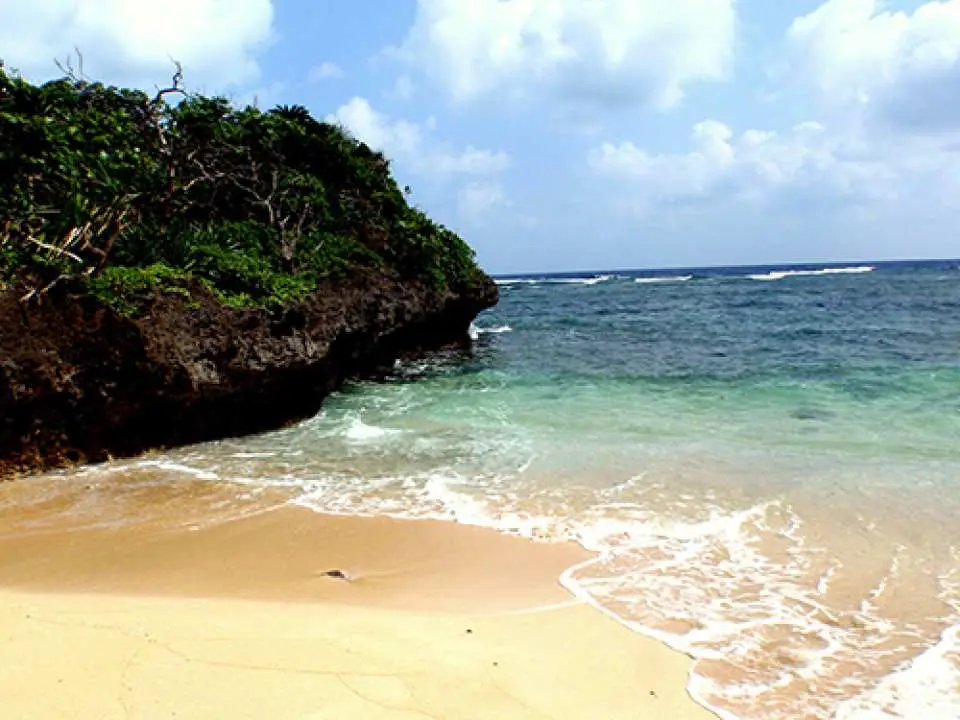 Okinawa Blue Cave Exploration and Sea Turtle Beach Snorkeling with Pick-up | Depart from Ishigaki Island