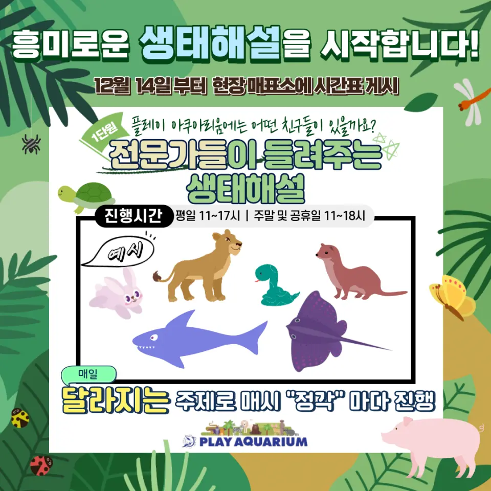경기도 부천 플레이 아쿠아리움의 생태 해설 프로그램 그래픽으로, 상어, 사자, 가오리 등 다양한 동물을 선보이며 모든 연령대의 방문객을 위한 전문가 주도의 교육적 해설을 강조합니다.