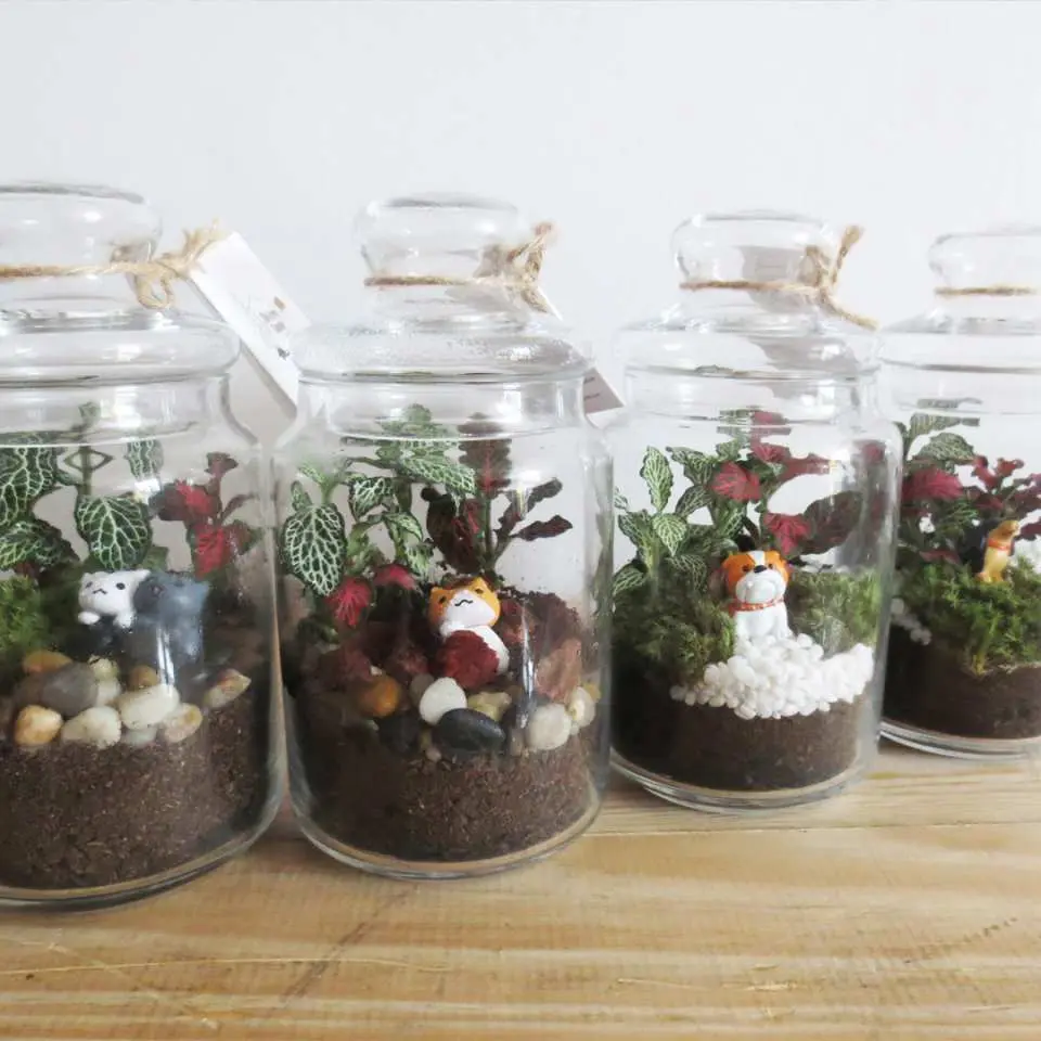 親手製作一棵美麗的手工植物在家展示