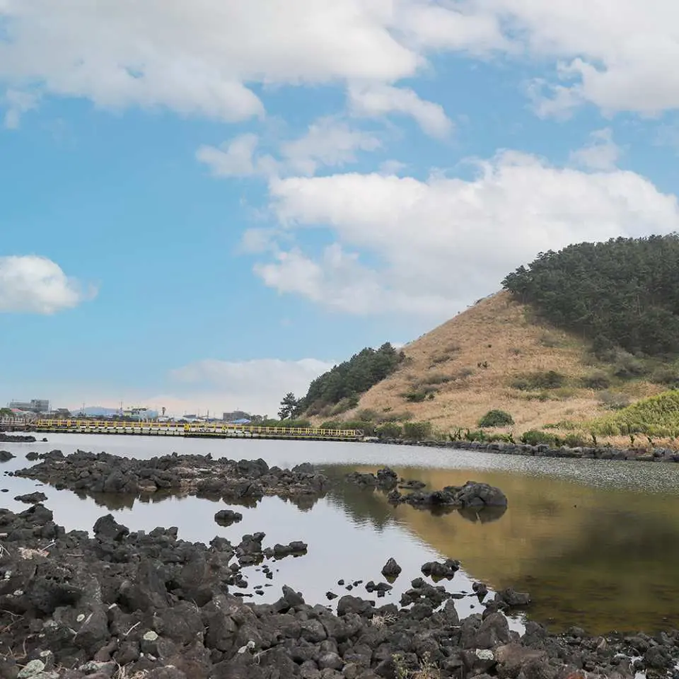 앞으로는 제주도의 본섬이 뒷편으로는 비양봉의 멋진 절경을 만끽해보세요!