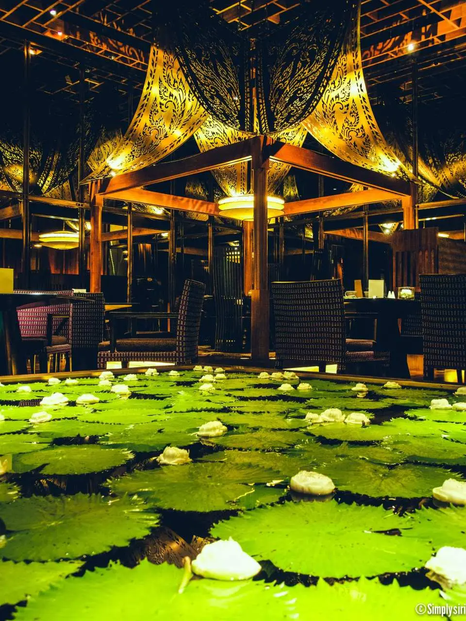 Experience the elegance of dining in a stunning setting