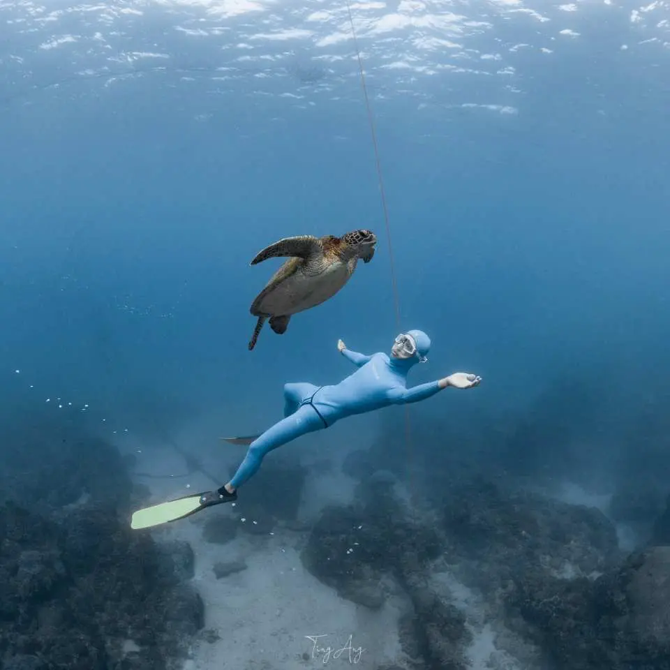 海洋實習