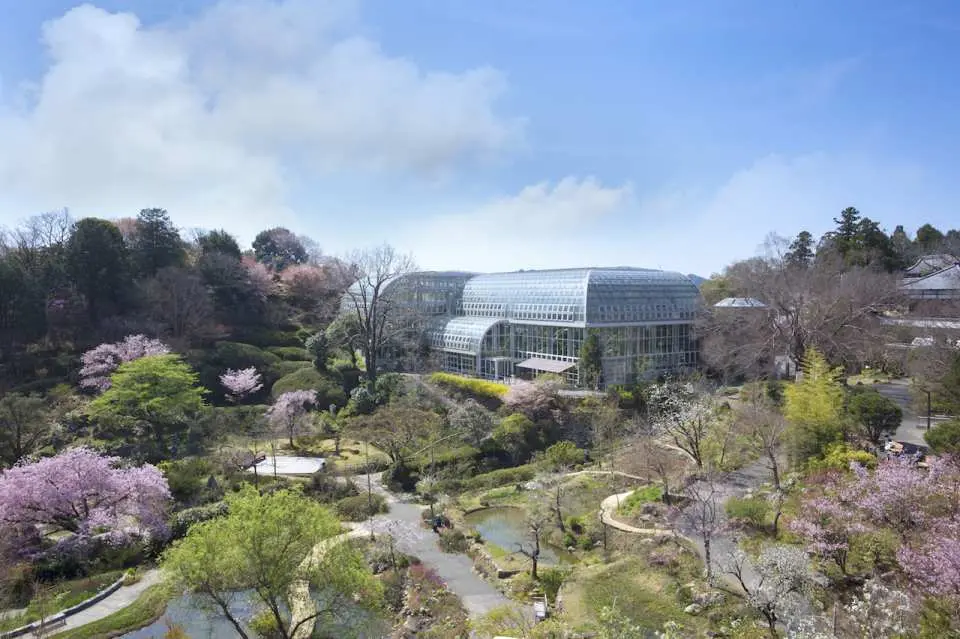 高知県立牧野植物園