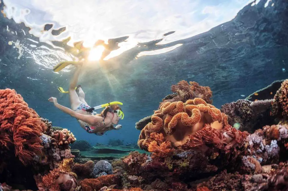 Snorkel among the colorful corals and tropical aquatic life, or relax under the warm afternoon sun
