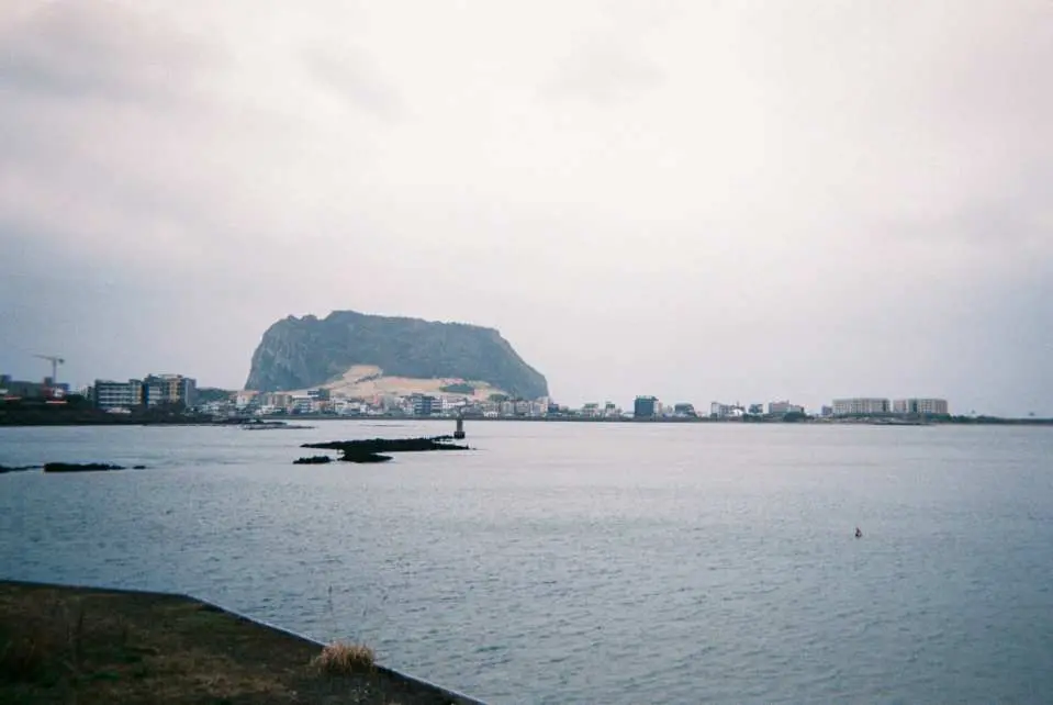 필름카메라로 찍는 사진