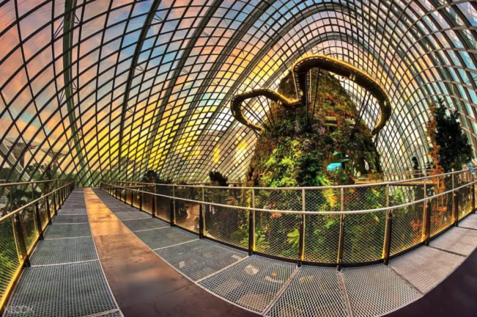 view of cloud forest walkway