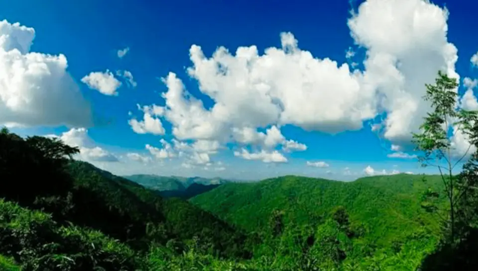 카오야이 국립공원이 태국 최고의 국립공원이라는 데는 의심의 여지가 없습니다. 2,000제곱킬로미터가 넘는 광활한 초원과 숲으로 이루어진 이 공원은 방콕에서 쉽게 접근할 수 있습니다. 곰, 긴팔원숭이, 코뿔새 등 다양한 야생동물의 서식지이기도 합니다. 이 지역의 상당 부분은 유네스코 세계문화유산으로 지정되어 있습니다.