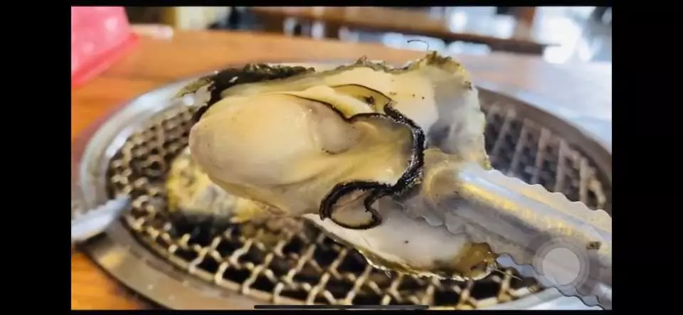 一隻來自台南七股潟湖的新鮮肥美生蠔，正用夾子夾著準備放上烤網，是無限量烤鮮蚵吃到飽的美味代表。