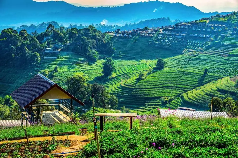 Majestic terraced fields at Mon Jam Highland or Nong Hoi Royal Project in Chiang Mai, showcasing the lush green valleys and distant mountains, revealing the pristine natural beauty of Northern Thailand.