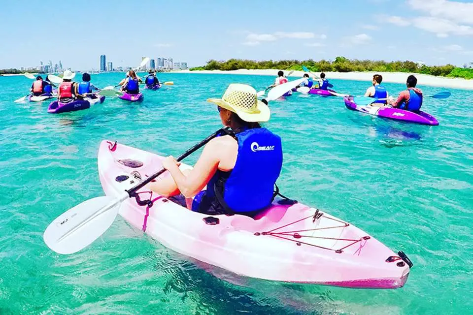 Half-Day Stradbroke Island Tour: Kayaking, Snorkeling & Dolphin-Watching | Australia
