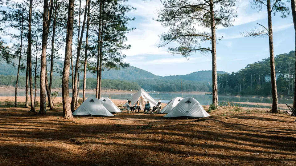 Join the camping program with luxury tents: Set up a tent together (With premium white or gray tent equipment and a Mongolian tent in the center), Collect dry branches and prepare a barbecue for dinner, Snacks for dinner: Bread, butter, sugar.