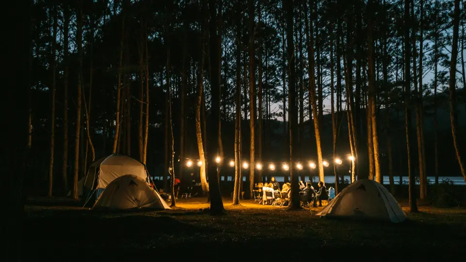 Everyone goes to bed early to wake up in the morning in a far away place.