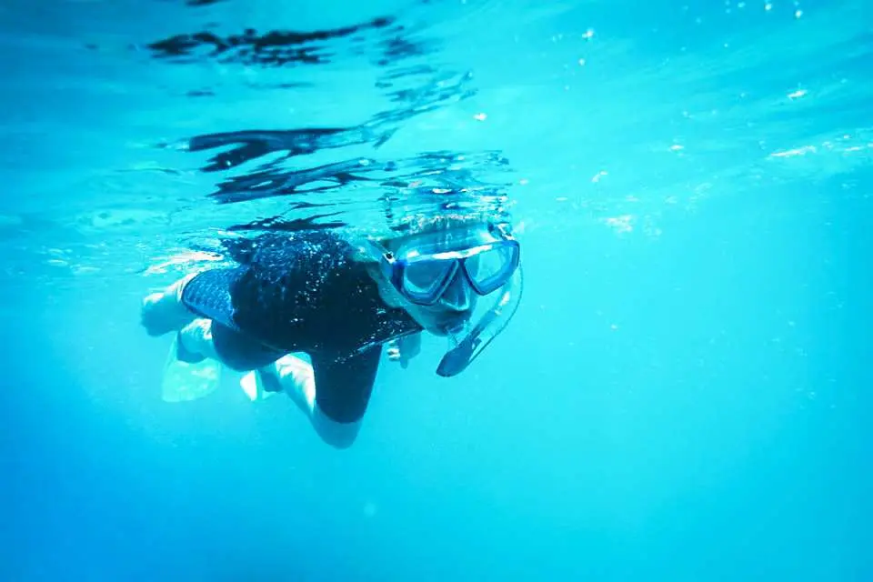 A person in a snorkel mask and fins gracefully explores the clear, vibrant blue underwater world during the swimming and snorkeling eco-tour at Kangaroo Island, Australia.