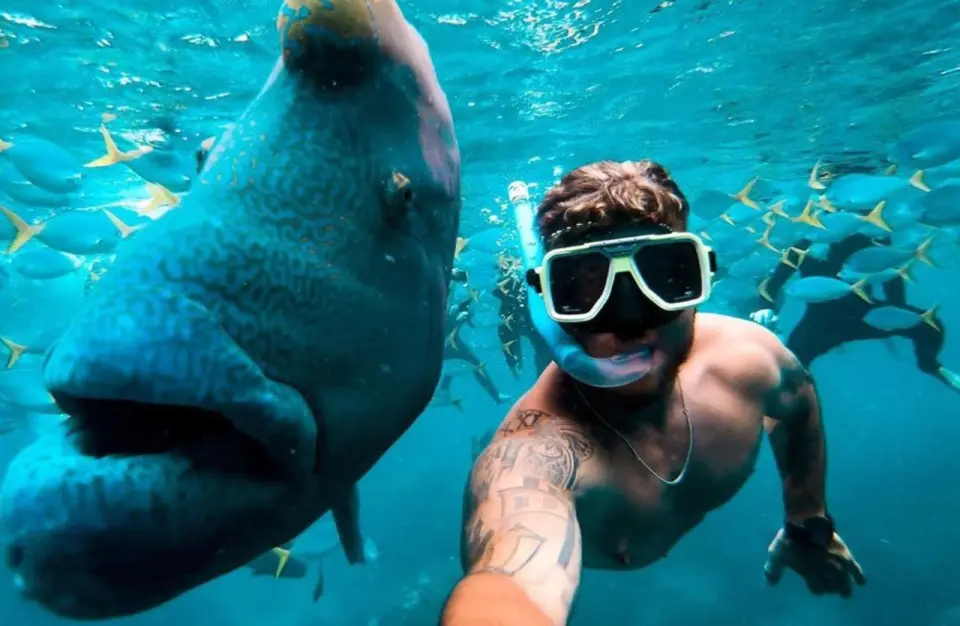 Snorkel at the best fringing reefs the region has to offer