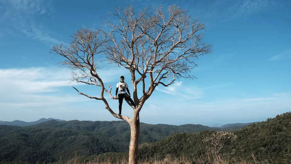 中午——在溪邊停下來休息和吃點東西，然後繼續徒步走出森林。到森林邊緣可選擇摩托出租車（10萬/人）或繼續徒步約1小時30分鐘。